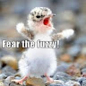 Meet your Posher, Jeff